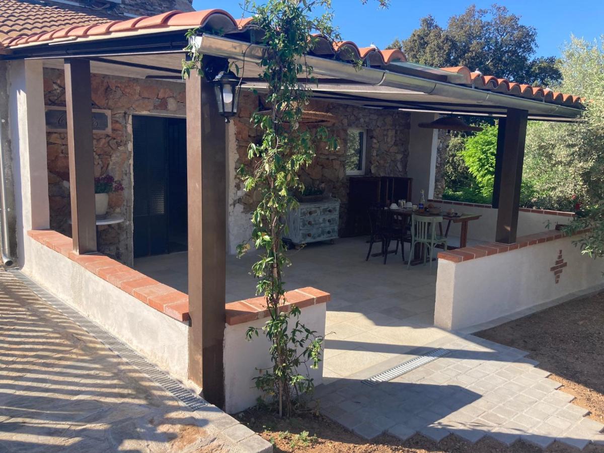 Apartamento Mas Picagnol Oms Exterior foto